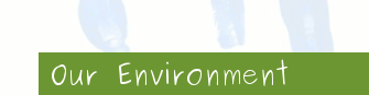 Our Environment
